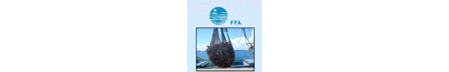 FFA MCS Officers' Standards and Curriculum Training Guidelines